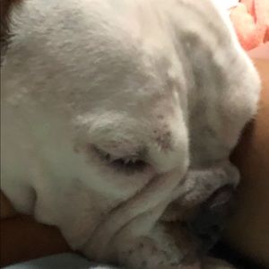 Meet your Posher, Justine